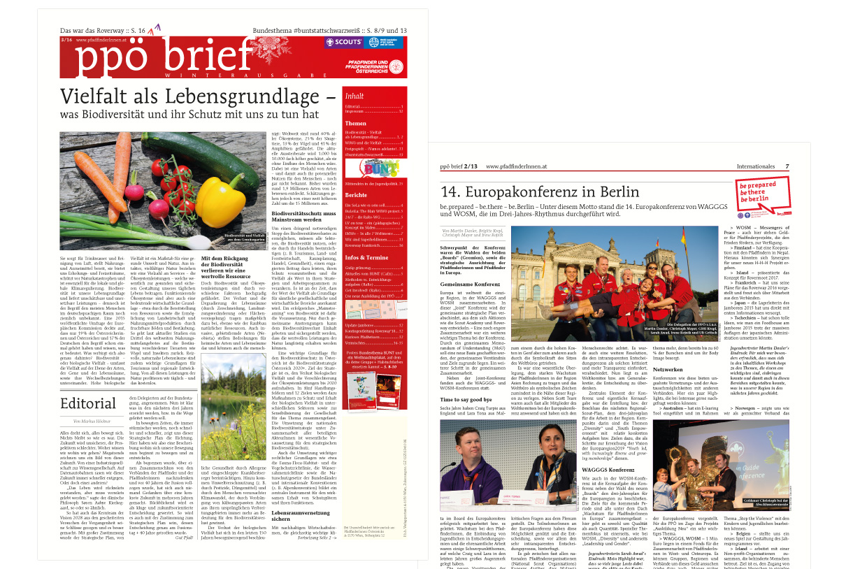 Editorial Design: ppö brief