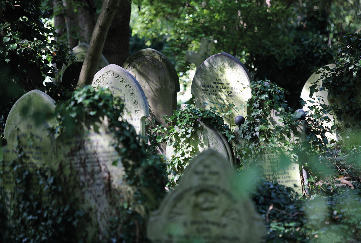 Travel/documentary: London Highgate cemetary